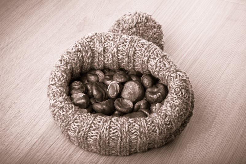 waste removal waste disposal